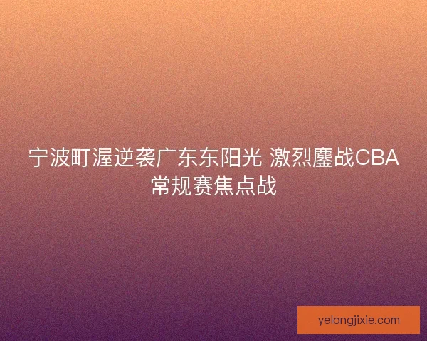 宁波町渥逆袭广东东阳光 激烈鏖战CBA常规赛焦点战 宁波町渥逆袭广东东阳光 激烈鏖战CBA常规赛焦点战