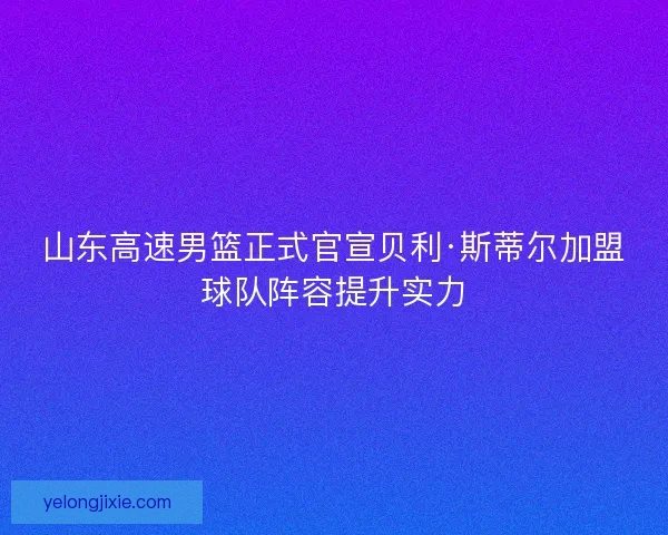 山东高速男篮正式官宣贝利·斯蒂尔加盟球队阵容提升实力